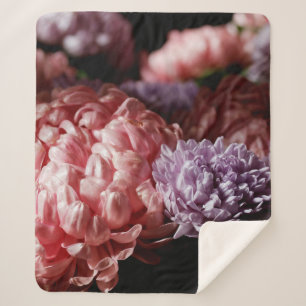 Pinkfarbener Bouquet mit lila aster Blume im Licht Sherpadecke