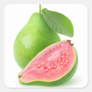 Pinkfarbener Guava Quadratischer Aufkleber