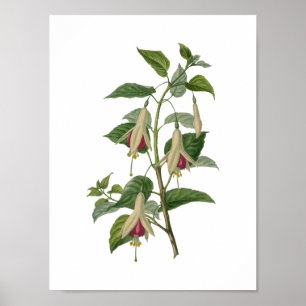 Pinkfarbenes Blumen-Plakat Poster