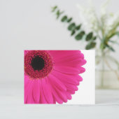 PinkGerbera Postkarte (Stehend Vorderseite)