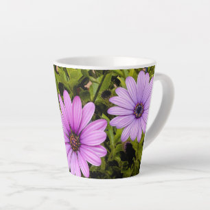 PINKISH-LAVENDER DAISIES MILCHTASSE