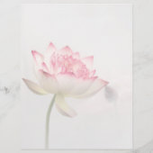 ©Pinkish White Lotus Blume Service & Preisliste Flyer (Hinten)