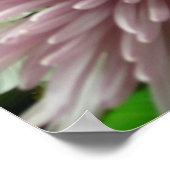 Pinkly Pastel Poster (Ecke)