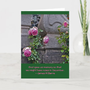 PINKROSEN ZWISCHEN ZWEI PILLAREN/GOTT GAB US-ROSE KARTE