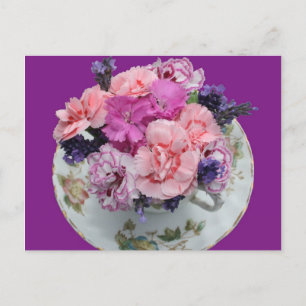Pinks Nelken im Teacup Postkarte