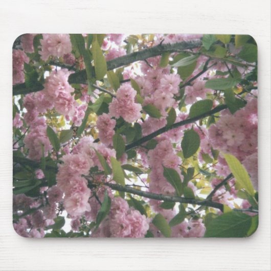 pinkspringtrees 001 mousepad (Vorne)