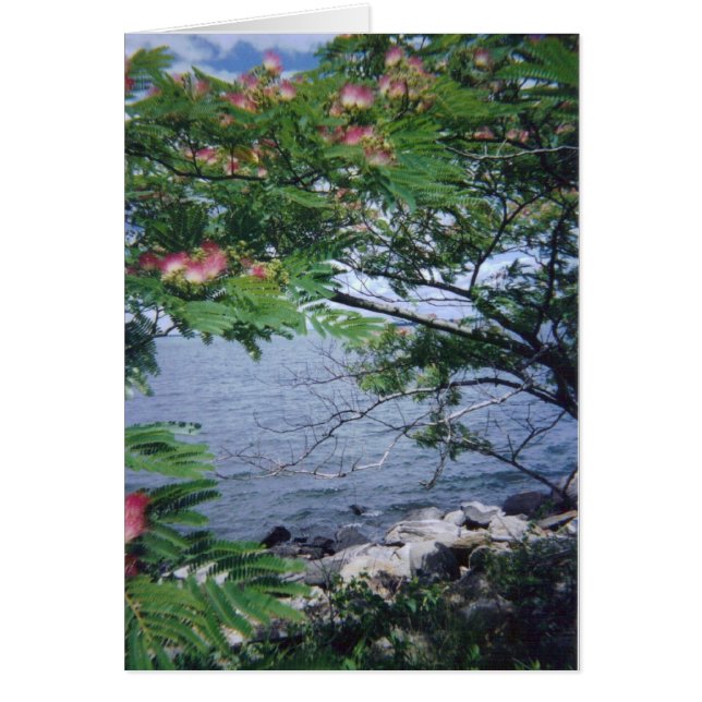 Pinktreewaterview 001 (Vorne)