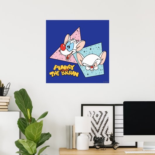 Pinky and the Brain | Retro Character Graphics Poster (Heimbüro)