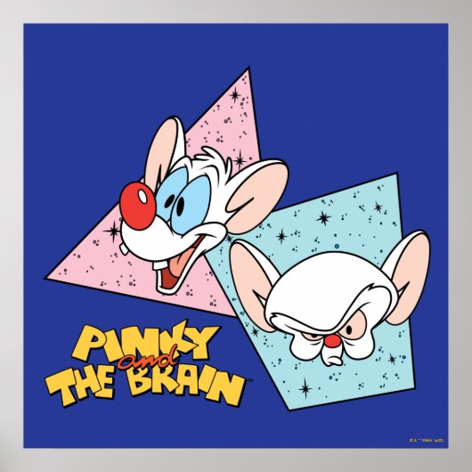 Pinky and the Brain | Retro Character Graphics Poster (Vorne)