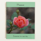 Pinky Rosebud Planer (Vorderseite)