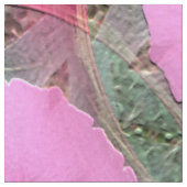 Pinky...... Stoff (Nahaufnahme)
