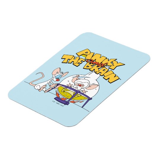 Pinky und das Gehirn | Laborforschung Magnet (Linke Seite)