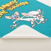 Pinky und das Gehirn | Logo anzeigen Sherpadecke (3/4)