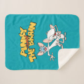 Pinky und das Gehirn | Logo anzeigen Sherpadecke (Vorderseite (Horizontal))