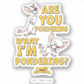 Pinky und das Gehirn | Machst du darüber nach? Aufkleber (Vorderseite)