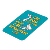 Pinky und das Gehirn | Machst du darüber nach? Magnet (Linke Seite)