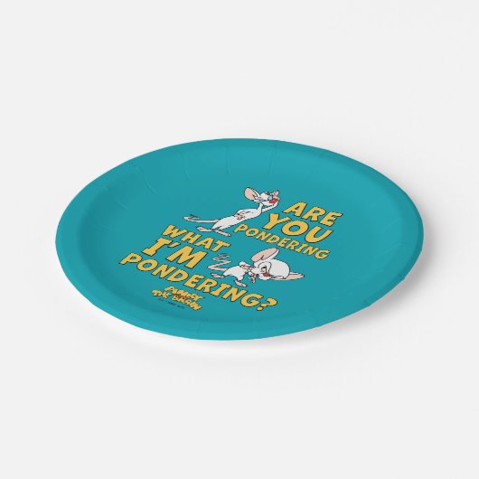 Pinky und das Gehirn | Machst du darüber nach? Pappteller (Schrägansicht)