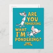 Pinky und das Gehirn | Machst du darüber nach? Postkarte (Vorne/Hinten)