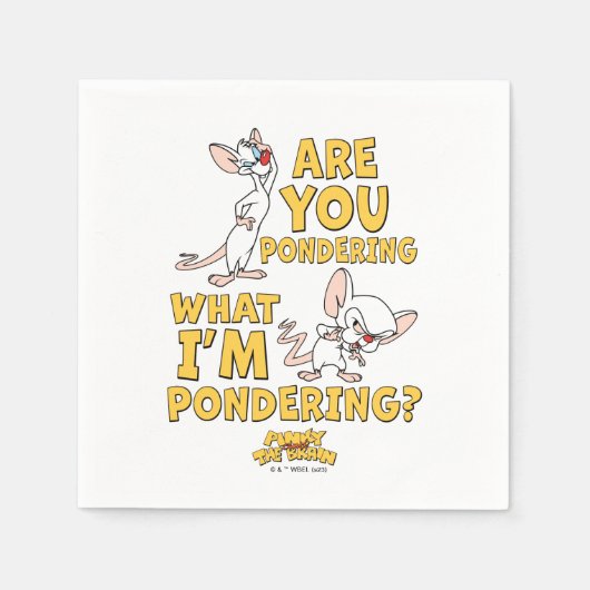 Pinky und das Gehirn | Machst du darüber nach? Serviette (Vorderseite)