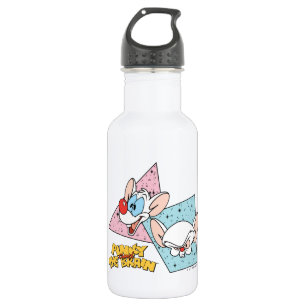 Pinky und das Gehirn   Retro-Zeichengrafiken Edelstahlflasche
