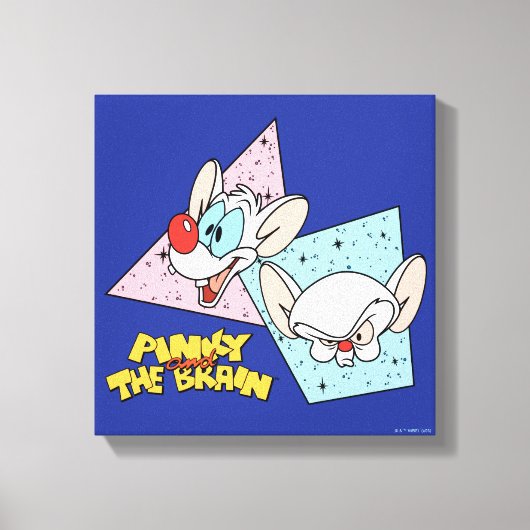 Pinky und das Gehirn | Retro-Zeichengrafiken Leinwanddruck (Vorderseite)