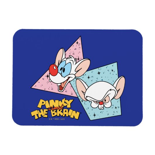 Pinky und das Gehirn | Retro-Zeichengrafiken Magnet (Horizontal)
