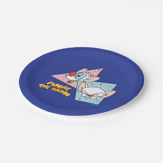 Pinky und das Gehirn | Retro-Zeichengrafiken Pappteller (Schrägansicht)