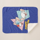 Pinky und das Gehirn | Retro-Zeichengrafiken Sherpadecke (Vorderseite (Horizontal))