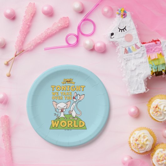 Pinky und das Gehirn | Übernehmen Sie die Welt Pappteller (Party)