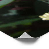 Pinky Winky Hydrangea blühender Shrub Poster (Ecke)