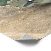 Pinnacle Maneuver Poster (Ecke)