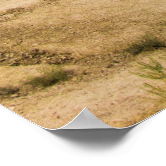 Pinnacles Blick, Badlands National Park, SD Poster (Ecke)