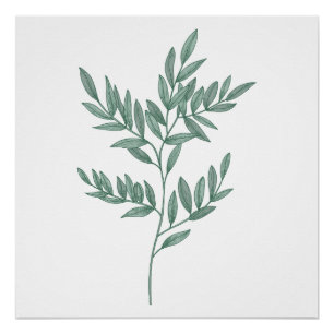 Pinnate Leaf in Blue Sage Poster gedruckt