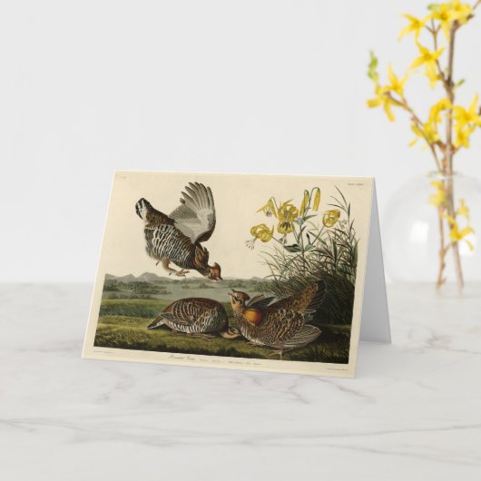 Pinnated Grouse Karte (Gelbe Blume)