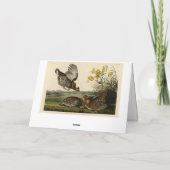 Pinnated Grouse Karte (Rückseite)