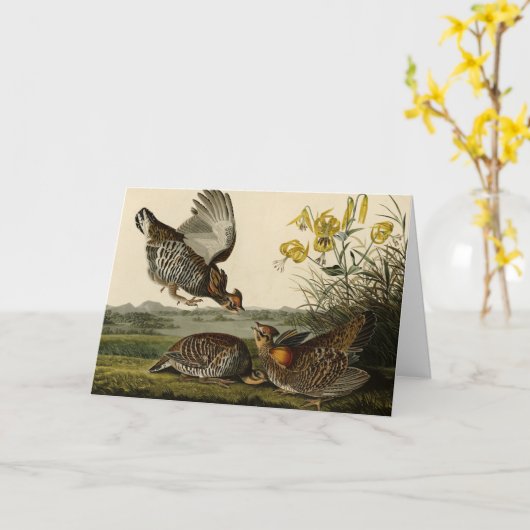 Pinnated Grouse Karte (Gelbe Blume)