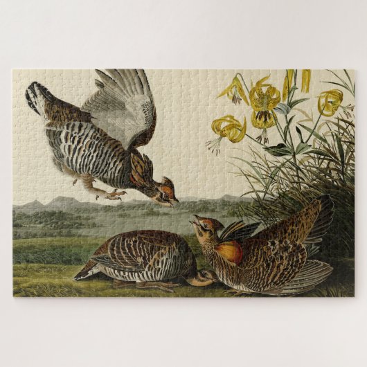 Pinnated Grouse Puzzle (Horizontal)
