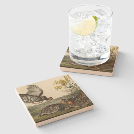 Pinnated Grouse Steinuntersetzer (Seitenansicht)