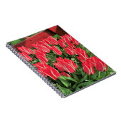 Pinocchio Tulips Notizblock (Rechte Seite)