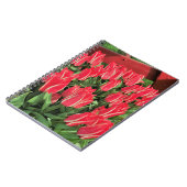 Pinocchio Tulips Notizblock (Linke Seite)