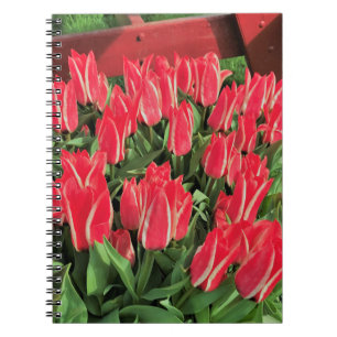 Pinocchio Tulips Notizblock
