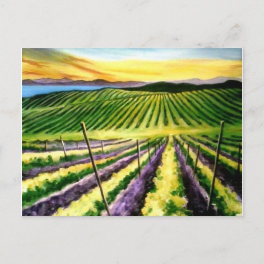 Pinot Postcard Land Postkarte (Vorderseite)