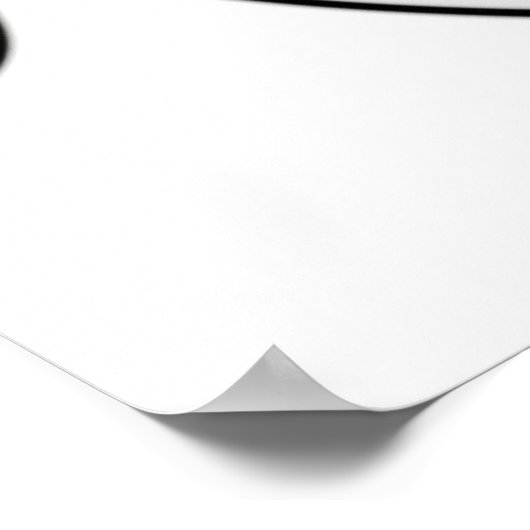 Pinrad des Lebens Poster (Ecke)