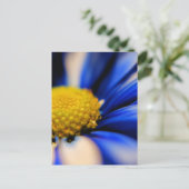 Pinrad Postkarte (Stehend Vorderseite)