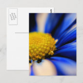 Pinrad Postkarte (Vorne/Hinten)