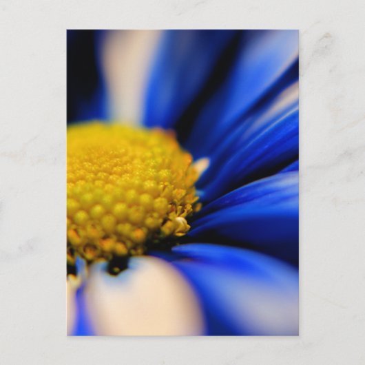 Pinrad Postkarte (Vorderseite)