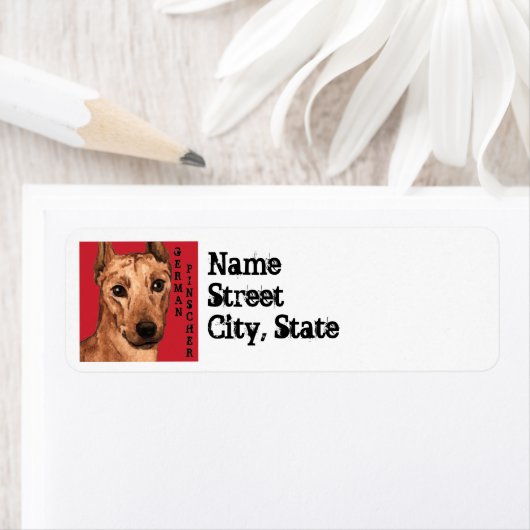 Pinscher Farbblock (Insitu)