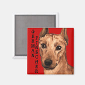 Pinscher Farbblock Magnet (Vorderseite/Rückseite)