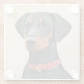 Pinscher Malerei Original Tierart Glasuntersetzer (Rückseite)
