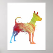 Pinscher Poster (Vorne)